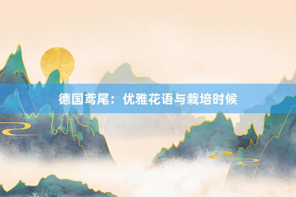 德国鸢尾：优雅花语与栽培时候